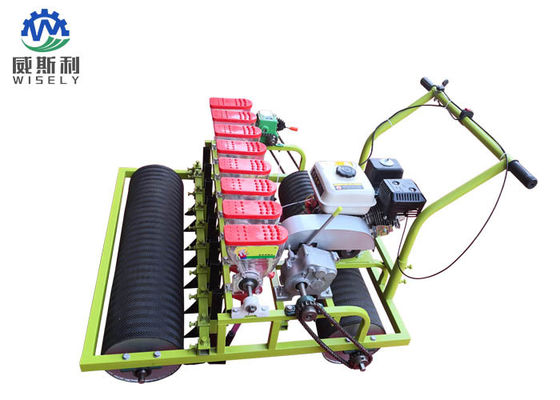 China Gasoline Engine 8 Rows Green Salad Planter Machines Used In Agriculture supplier