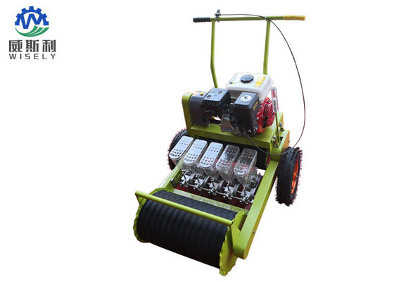 China 5 Rows Agriculture Planting Machine Parsley Plant Machine Easy Disassembly supplier