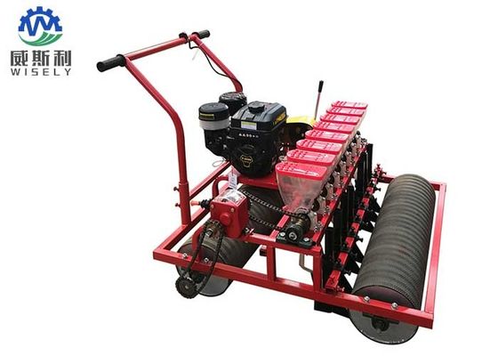 China 8-15 Cm Row Spacing Tomato Planter Machine / Red Tomato Planting Equipment supplier