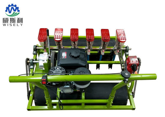China High Efficiency Lettuce Planting Machine / Farm Planting Equipment 6 Rows supplier